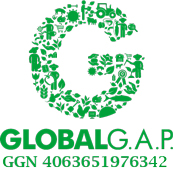 Certificado Global Gap Arndanos el Cierrn